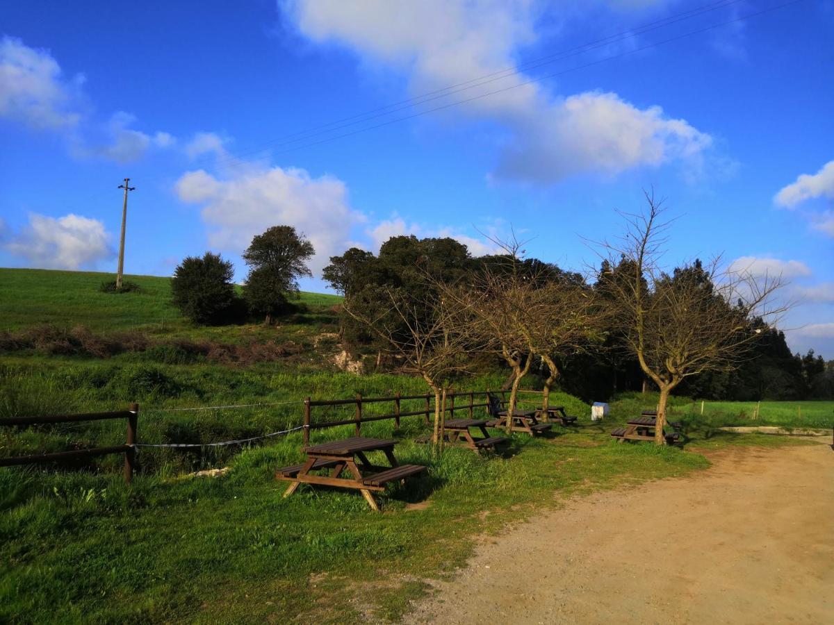 Refugio Do Bem Estar 호텔 Cercal do Alentejo 외부 사진