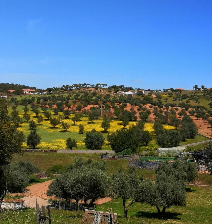 Refugio Do Bem Estar 호텔 Cercal do Alentejo 외부 사진