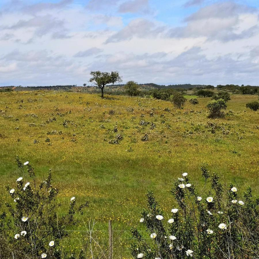 Refugio Do Bem Estar 호텔 Cercal do Alentejo 외부 사진