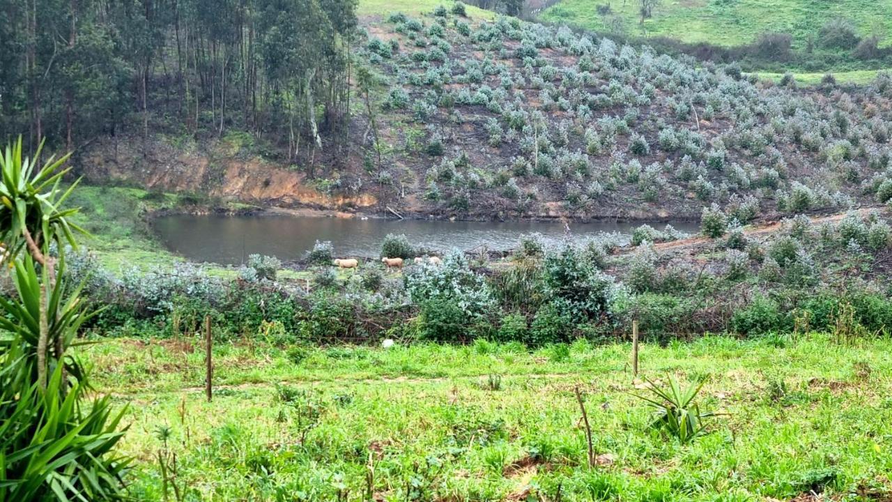 Refugio Do Bem Estar 호텔 Cercal do Alentejo 외부 사진
